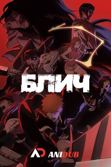 Блич: Тысячелетняя кровавая война / Bleach: Sennen Kessen Hen [13 из 13]