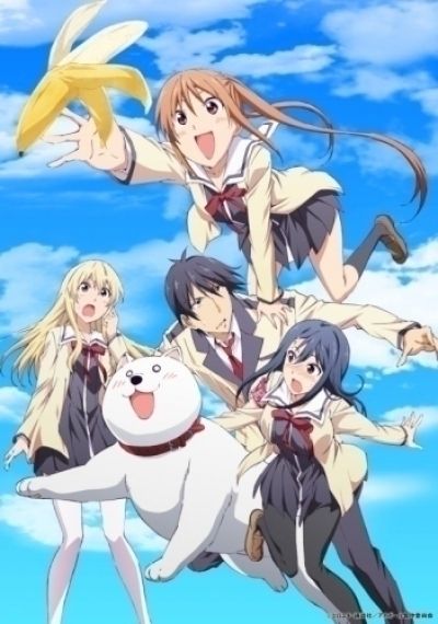 Без извилин / Aho Girl [12 из 12]