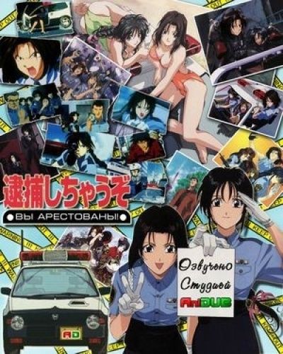 Вы арестованы! Фильм / You're Under Arrest Movie