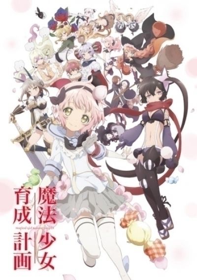 Проект воспитания девочек-волшебниц / Mahou Shoujo Ikusei Keikaku [12 из 12]