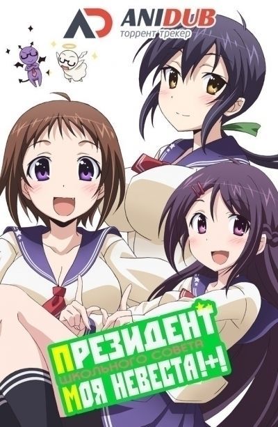 Президент школьного совета моя невеста ТВ-2 / Okusama ga Seitokaichou! Plus! TV-2 [12 из 12]