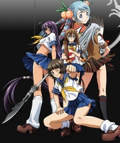 Школьные Войны: Судьба Дракона / Ikkitousen: Dragon Destiny [12 из 12 + 6 SP]