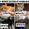 Руслан Жуков
