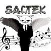 saltek1995